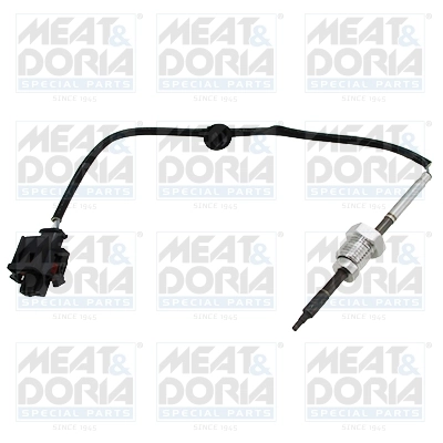 Sensor, exhaust gas temperature